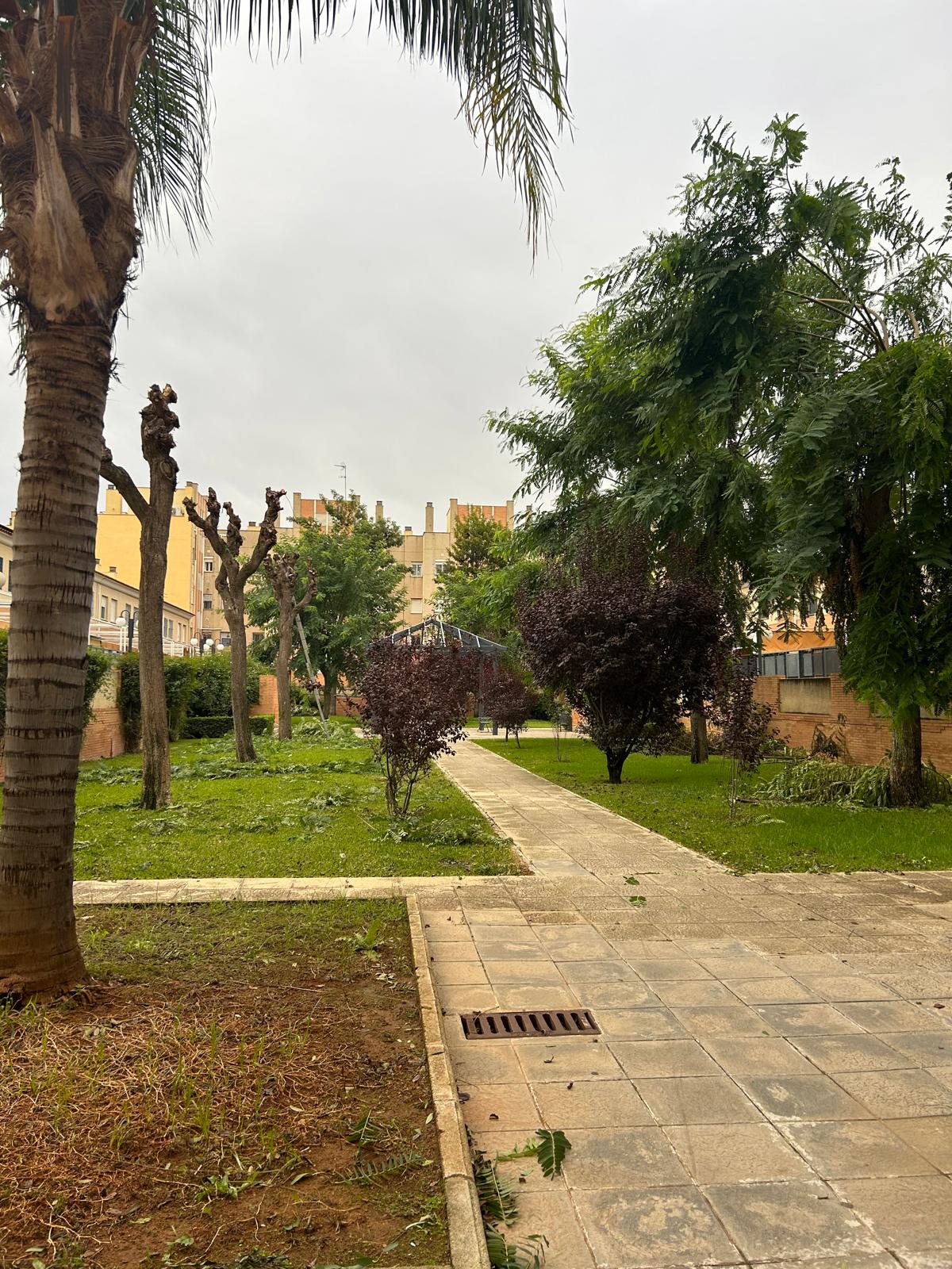 Jardín antes de la intervención de Jardínespa