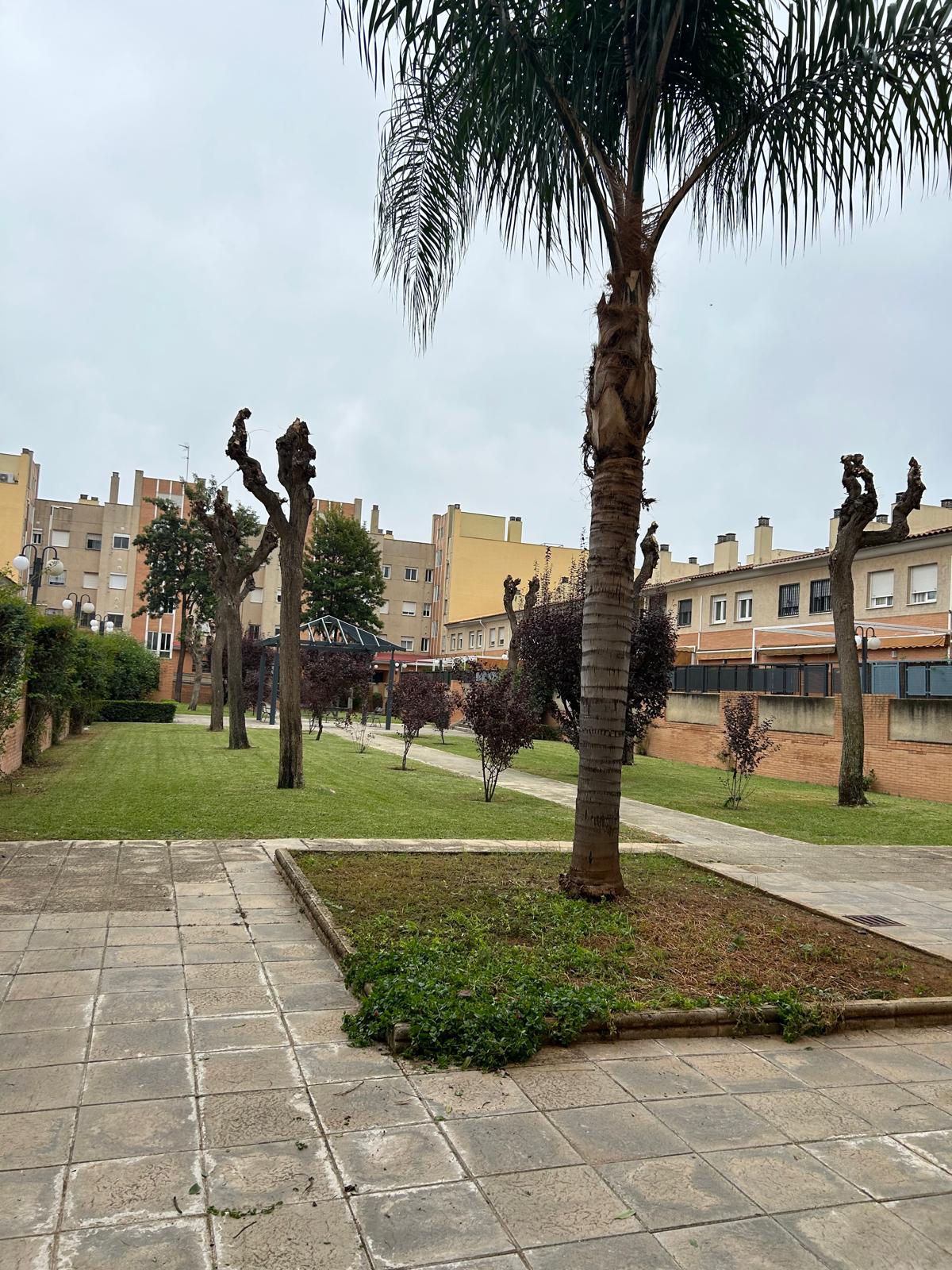 Jardín después de la intervención de Jardínespa