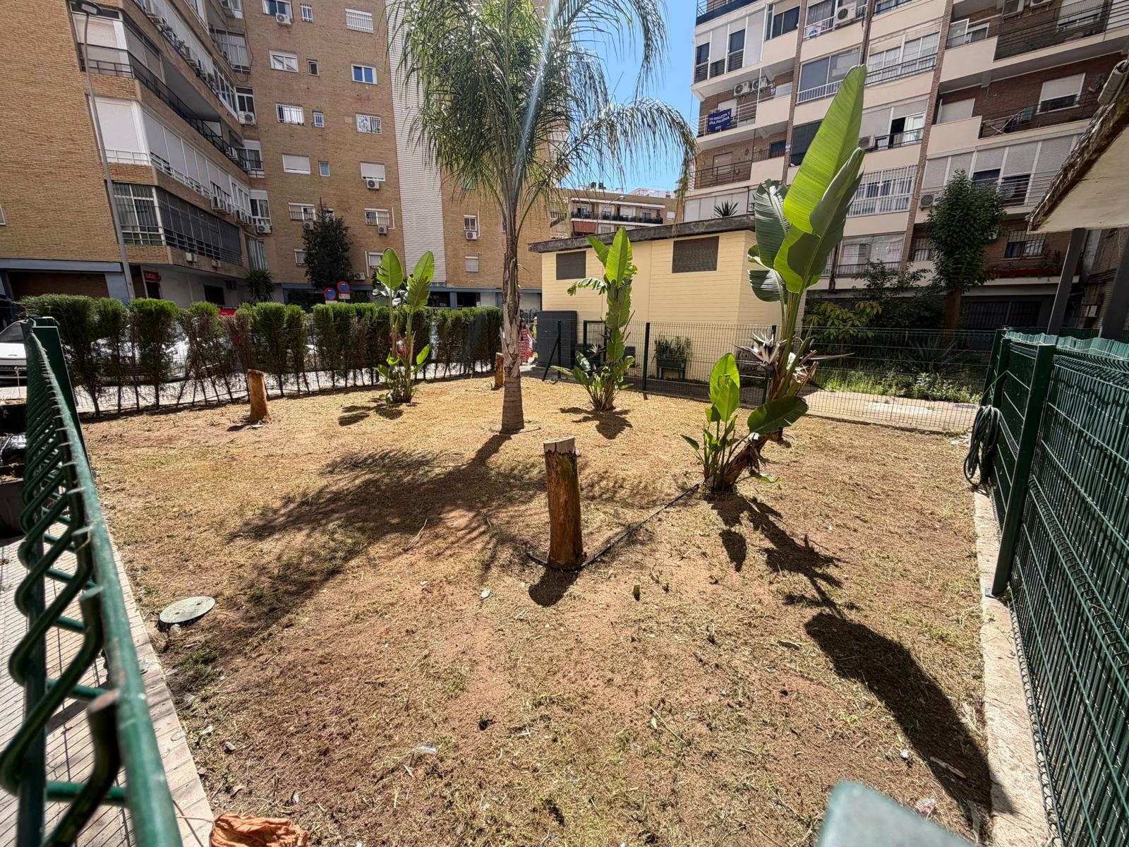 Jardín después de la intervención de Jardínespa, ejemplo 2